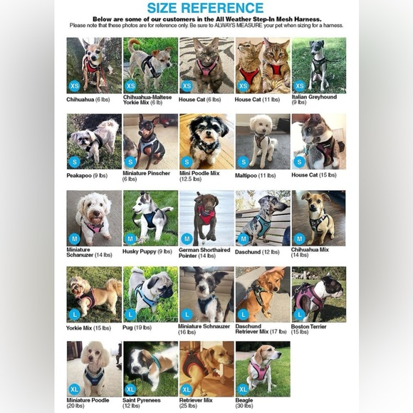 Voyager Black Trim Mesh Dog Harness - Size S - Picture 16 of 16